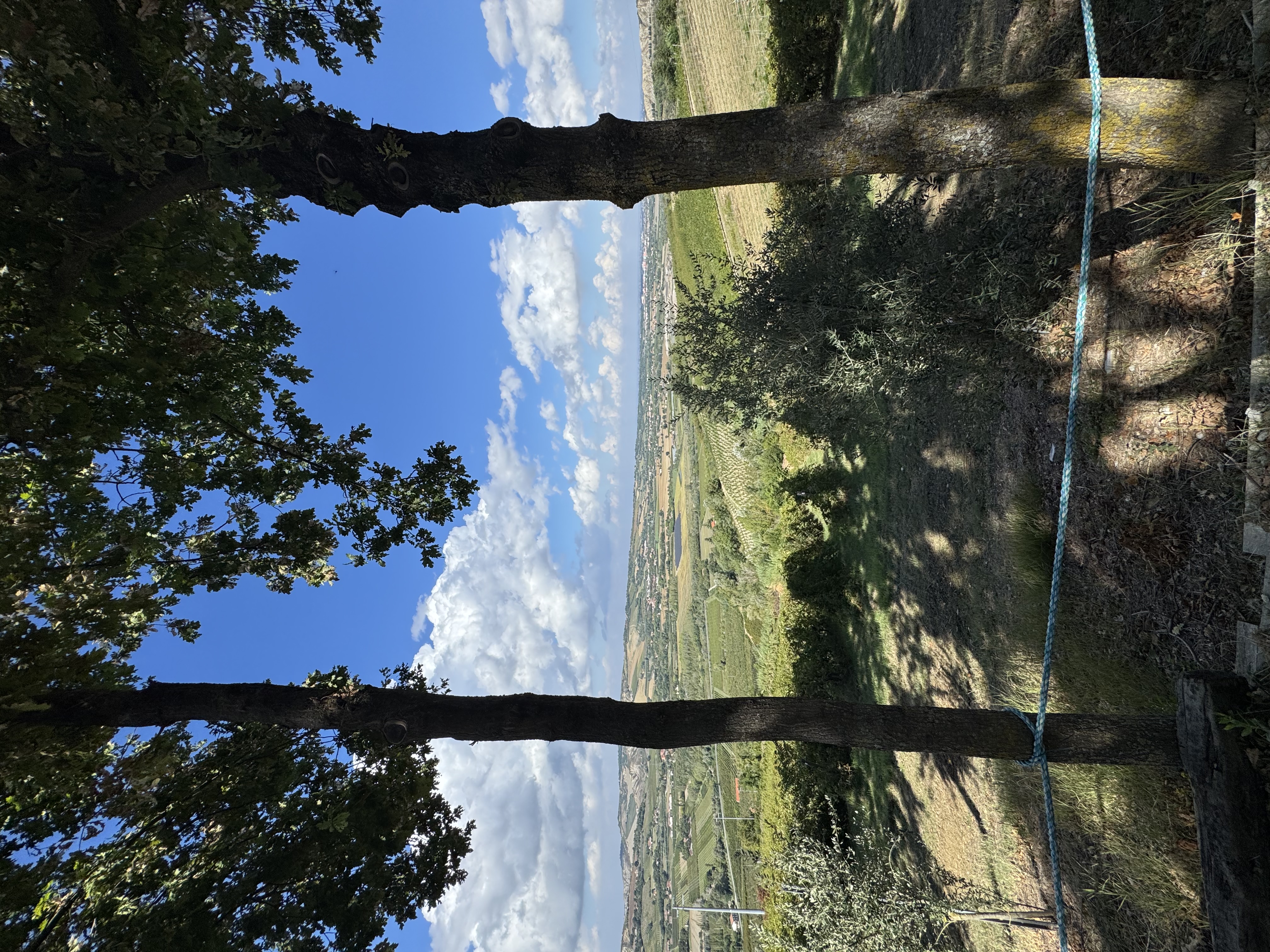 Tenuta Poggio Pollino